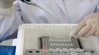 ☆5 レジオネラ生菌の検出qPCR [upl. by Anole]