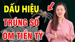 BẠN SẮP TRÚNG SỐ GIÀU TO Nếu Đột Nhiên Thấy 5 Điềm Báo Này Tiền Vàng Cứ Thế Ùn Ùn Kéo Về [upl. by Mosira167]