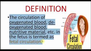 FETAL CIRCULATION  FETOPLACENTAL CIRCULATION [upl. by Attiuqihc]