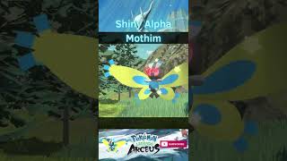 SHINY ALPHA MOTHIM shorts shinypokemonhunter pokemonlegendsarceus shinypokemon pokemon [upl. by Ring]