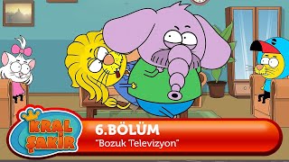 Kral Şakir 6 Bölüm  Bozuk Televizyon [upl. by Lotsirb]