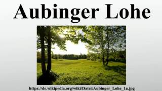 Aubinger Lohe [upl. by Etana]