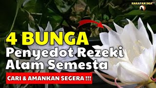 TUMBUH 10 TAHUN SEKALI  JIKA BERTEMU  AMANKAN SEGERA 4 Bunga Pembawa Rezeki amp Kekayaan [upl. by Craggy715]