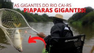 AS PIAPARASPIAVAS GIGANTES DO RIO CAIRSPesca com caiaque hunter 285 [upl. by Dagny487]