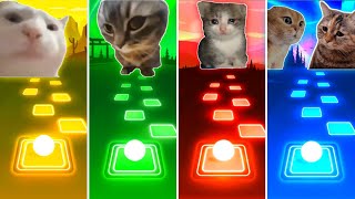 Vibing Cat vs Chipi Chipi Chapa Chapa Cat vs Sad Cat vs Talking Cats Tiles Hop EDM Rush [upl. by Ahset]