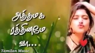 New cut love gana whatsapp status video song in HD Tamilan Music [upl. by Leihcar761]