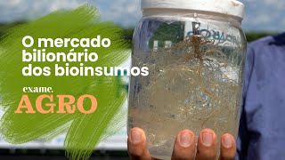 Fertilizantes naturais movimentam mercado bilionário [upl. by Yeoz]