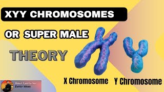 XYY Chromosome Theory or Super Male Theory  Biological Theory of Crime criminology [upl. by Tehc]