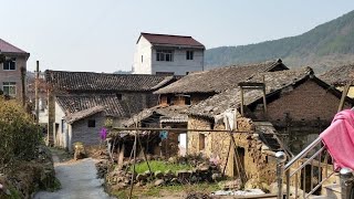 Capable Girl who failed in business returns to rural area to renovate old house [upl. by Ahsela217]