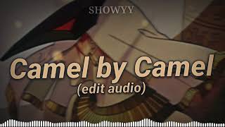 Camel by Camel Edit Audio [upl. by Aisined58]