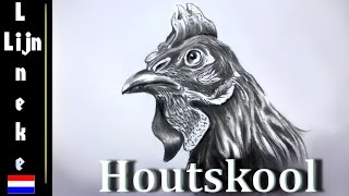 Tekenen met HOUTSKOOL en gumpotlood [upl. by Aisayt]