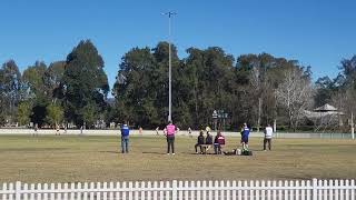 goannas vs kangaroos 21724 pt3 [upl. by Eibbor]