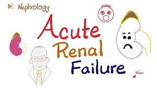 Acute Renal Failure Azotemia [upl. by Alcott]