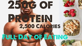 Full Day of Eating  250g Protien  2500 Calories [upl. by Atikahc460]