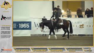 Futurity 2024  JOLINE KAMPHUIS amp KK TRICKEDMEOUT score 210 [upl. by Lark]