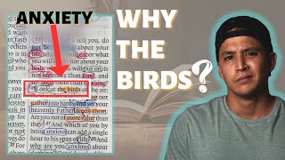 THIS Is Why Jesus Uses Birds To Address Anxiety  Beginners Bible Study In Matthew 6 [upl. by Anid]