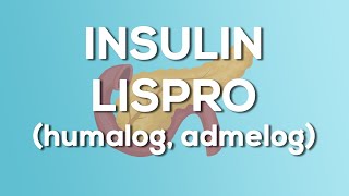 Insulin Lispro Humalog  Admelog Nursing Drug Card Simplified  Pharmacology [upl. by Cohlette]