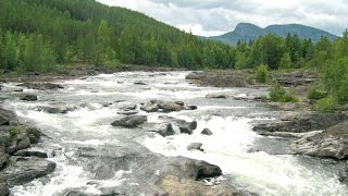 Nature of Norway The Great River quotHallingdalselvaquot [upl. by Tamaru]