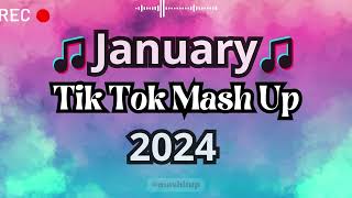 TikTok Mashup 2024 🎵 [upl. by Tutt482]