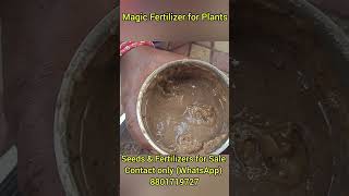 Magic Fertilizer for Plants Seeds and Fertilizers for Sale contact only WhatsApp 8801719727 [upl. by Bord455]