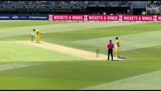 Muhammad Hasnain Gets Marcus Stoinis Wicket [upl. by Blanc999]