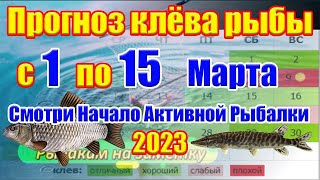 Прогноз клева рыбы на эту неделю с 1 по 15 Марта Календарь рыбака на Март Прогноз клева рыбы [upl. by Lorne]