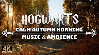 A Calm Autumn Morning at Hogwarts  4K Harry Potter Music amp Ambience [upl. by Mariska]