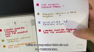 【ENG中字】Bushimen PAL Planner 2024 vs 2025 Comparison amp Swatches｜ 不是闷 PAL手帐 2024 2025对比 新纸试色 [upl. by Karlik]