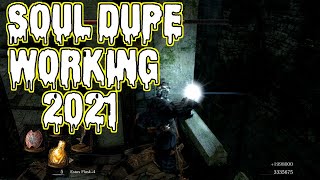 UNLIMITED SOULS GLITCH WORKING IN 2024 Dark Souls Remastered PC VERSION [upl. by Yve650]