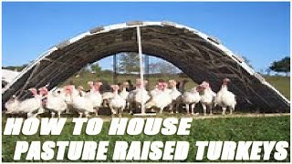 How To House Pasture Raised Turkeys [upl. by Cob]