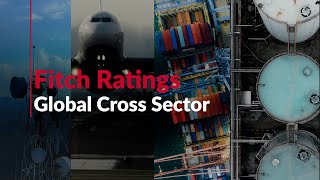 Fitch Ratings Global Cross Sector Business [upl. by Haimerej]