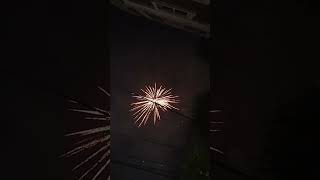 Fireworks sound effects fireworkshorts [upl. by Kurman]