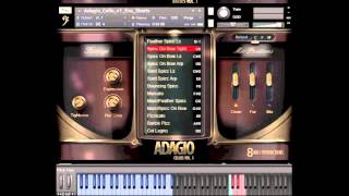 8Dio Adagio Epic Short Notes Tutorial [upl. by Olegnaid]