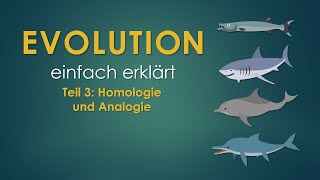 3 Homologie und Analogie  EVOLUTION einfach erklärt [upl. by Rakabuba898]