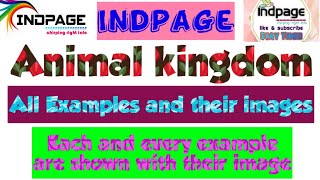 Animal kingdom neet Animal kingdom all examples with their images All Examples of Animal kingdom [upl. by Pearline8]