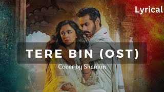 Tere Bin OST Song Cover  Tere Bin Drama  Shamim Khan  Latest 2024 Cover [upl. by Ares]