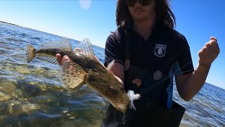 Flathead Fishing The Shallows [upl. by Sharyl394]