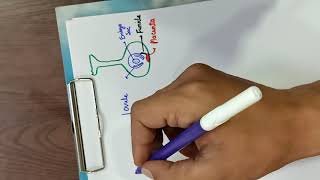 Structure of megasporangium or ovule and megasporogenesis [upl. by Marasco]