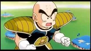 Krillin Solar Flare HD [upl. by Hauhsoj]