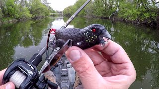 Fishing A Bird Lure For River BEASTS [upl. by Emaj]