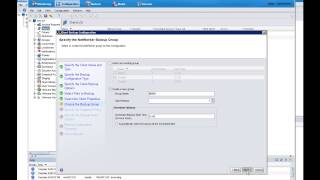 EMC NetWorker 81 Block Based Backup Configuration and Backup Demo [upl. by Iorgo]