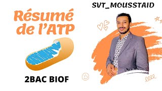 Résumé de ATP 🔥 RESPIRATION ET FERMENTATION Darss kaml 2Bac Biof [upl. by Ainafets]