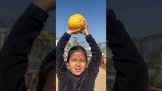 साधेको भोगटे Bhogate pomelo salad recipe by 9 years girl nepalifood fyp spicy pomelo recipe [upl. by Abba419]