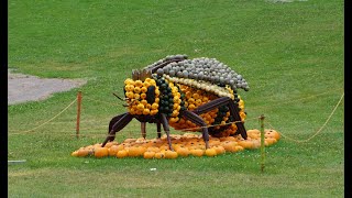 Blühendes Barock Ludwigsburg Kürbisausstellung [upl. by Terese]