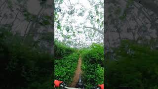 Classic Aquila 🗿 sedikit Licyinmtb mtblife mountainbike gopro [upl. by Amalburga232]