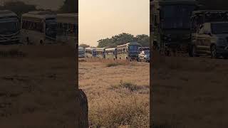 Devriya gypsy Safari sasan gir forest safari park 🦁🦁 [upl. by Cirone791]