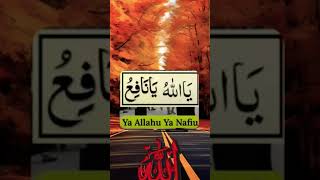 urdu islamic status  islamic status  you tube shorts [upl. by Atika]