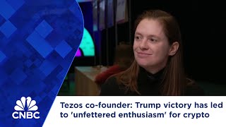 Tezos cofounder Trump victory has led to unfettered enthusiasm for crypto [upl. by Stanfield485]