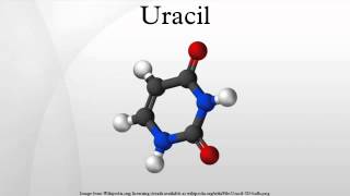 Uracil [upl. by Haleeuqa268]