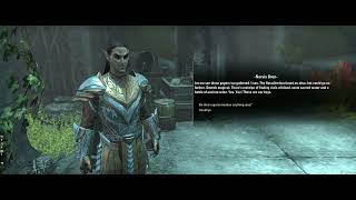 Gold Road  Part 6 The Untraveled Road  The Elder Scrolls Online  Red Guard Warden [upl. by Moseley]